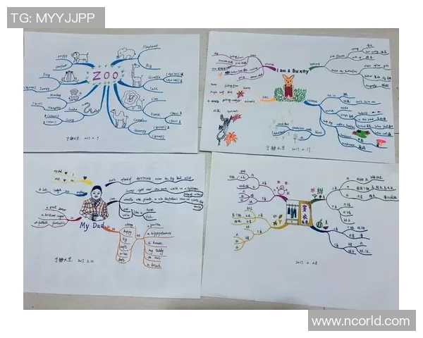 滑板新手必读：从零基础到高手的全面学习指南与技巧分享