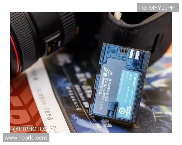 独家解析FPX技术优势与对手的全面对比分析